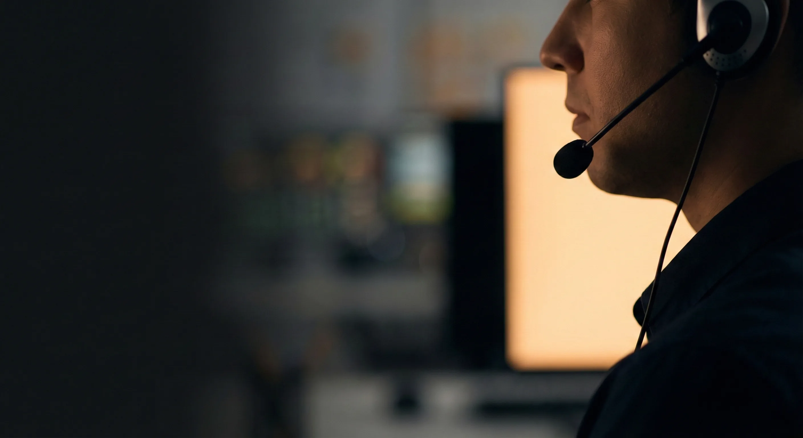 Crisis simulation interface